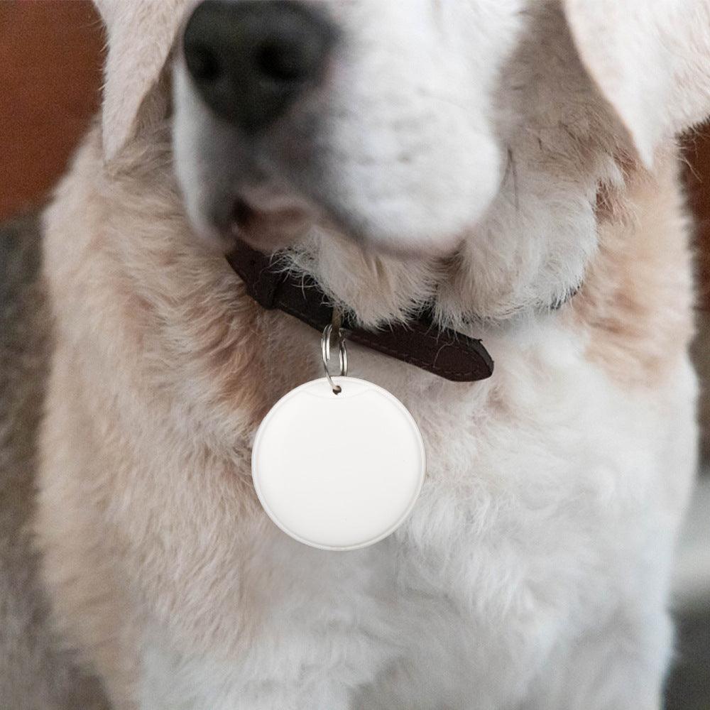 Cat GPS Tracker & Cat Leash Vest