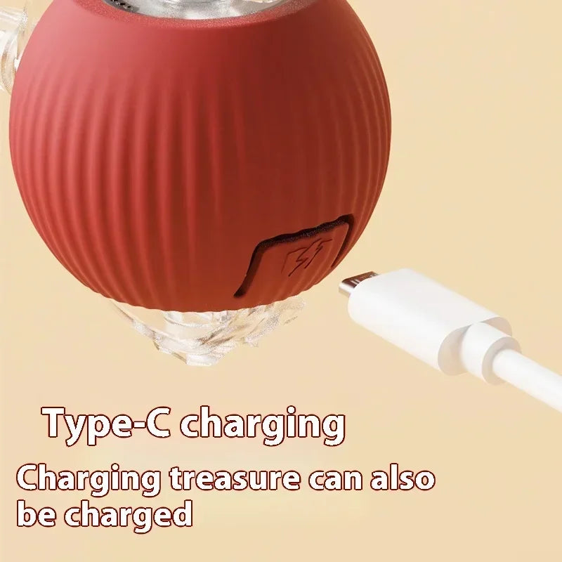 Automated Cat Fun: Interactive Rolling Ball Toy