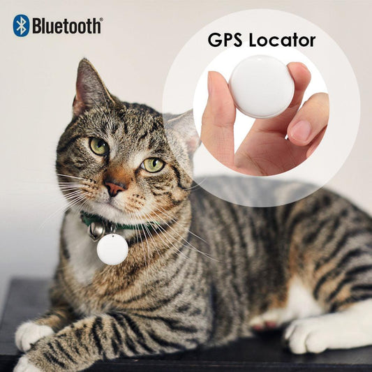 Cat GPS Tracker &  Cat Leash Vest