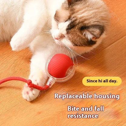 Automated Cat Fun: Interactive Rolling Ball Toy