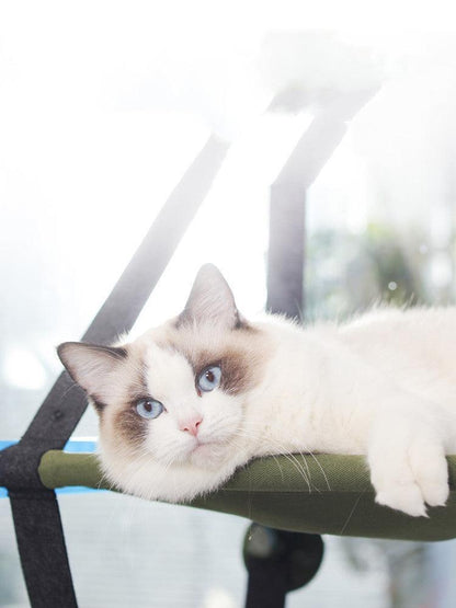 Cozycat Window Perch - The Ultimate Hangout Spot For Your Feline Friend-2