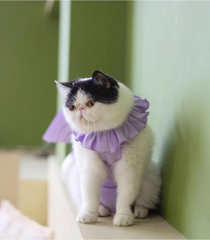 Sweet Cat Recovery Suit-4